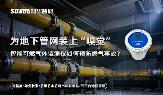 智能可燃气体监测仪